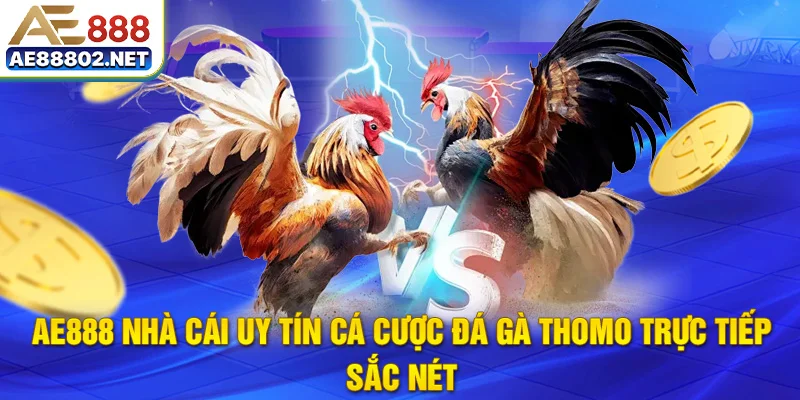 ae888 nhà cái uy tín cá cược đá gà thomo trực tiếp sắc nét