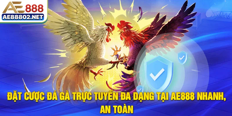 Đặt cược đá gà trực tuyến đa dạng tại AE888 nhanh, an toàn