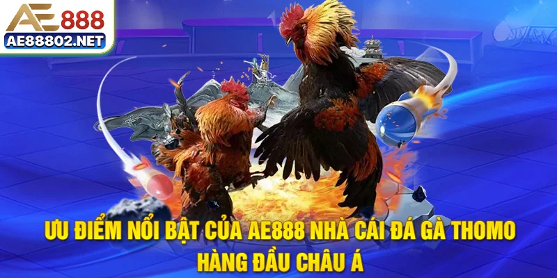Ưu điểm nổi bật của ae888 nhà cái đá gà thomo hàng đầu châu á